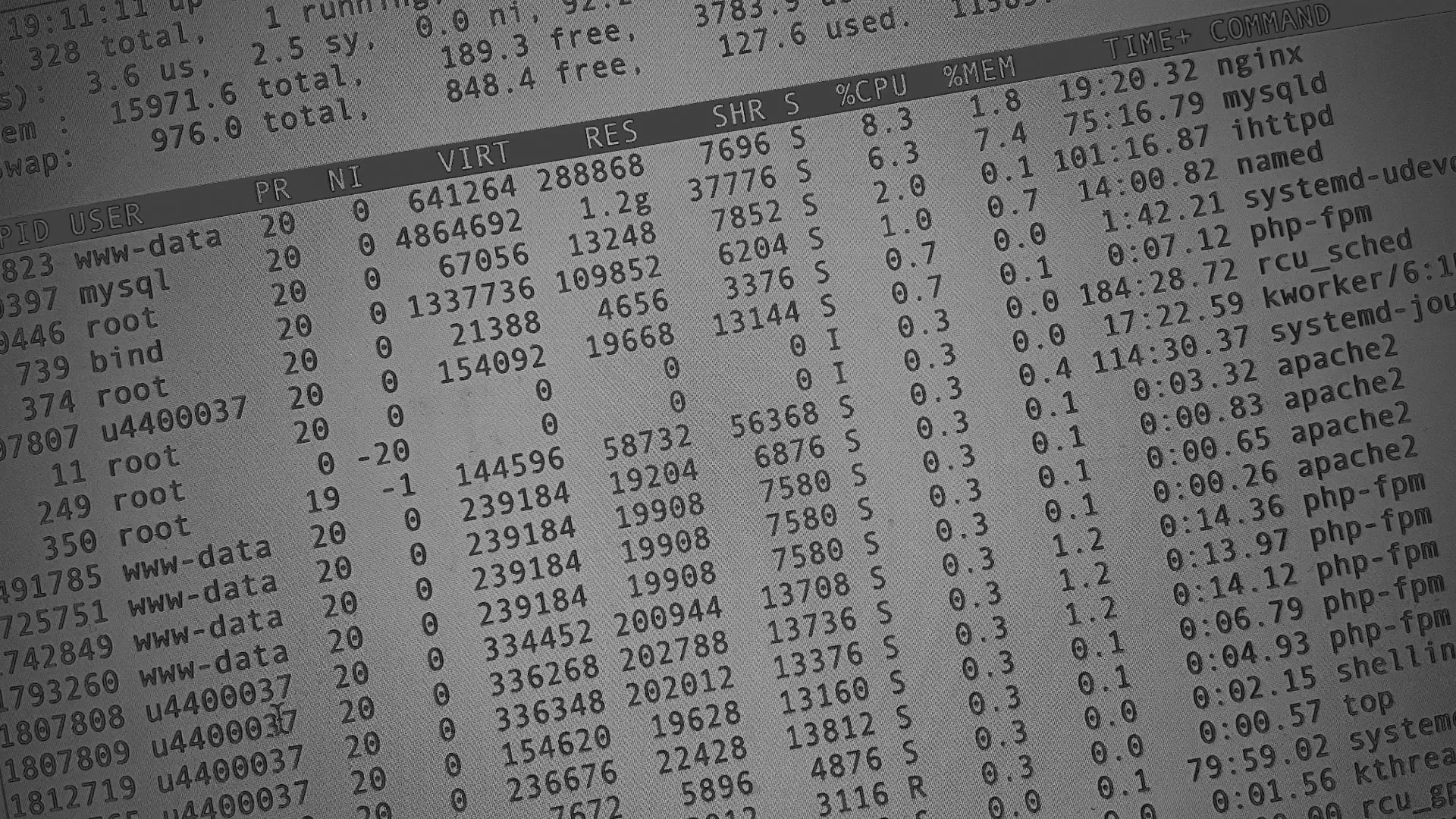 Настройка сервера в Микуне